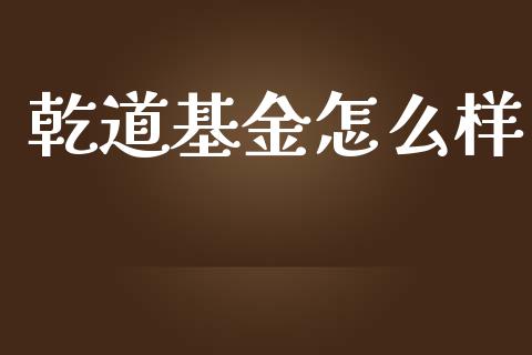 乾道基金怎么样_https://cj006.lansai.wang_财经新闻_第1张
