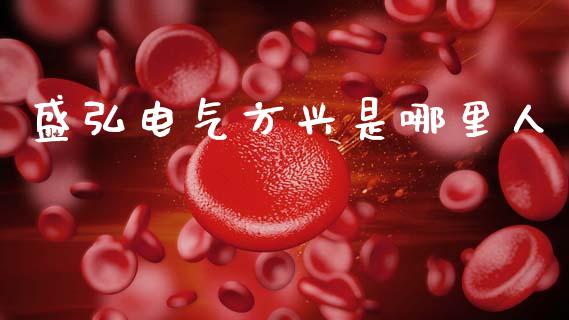 盛弘电气方兴是哪里人_https://cj006.lansai.wang_债券资讯_第1张