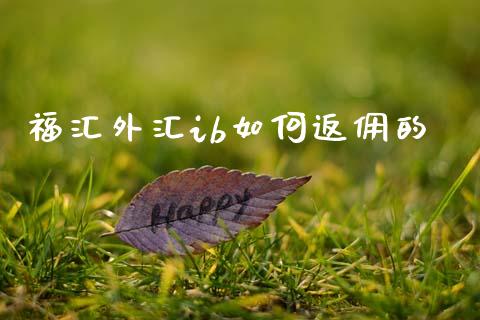 福汇外汇ib如何返佣的_https://cj006.lansai.wang_期货开户_第1张