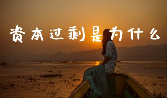 资本过剩是为什么_https://cj006.lansai.wang_财经新闻_第1张