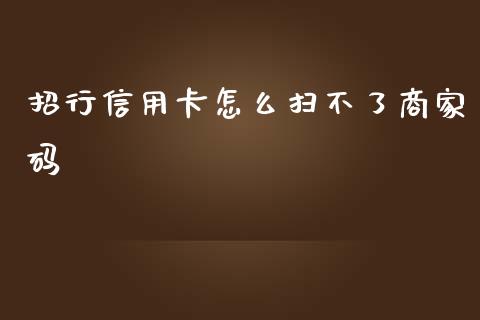 招行信用卡怎么扫不了商家码_https://cj006.lansai.wang_金融监管_第1张