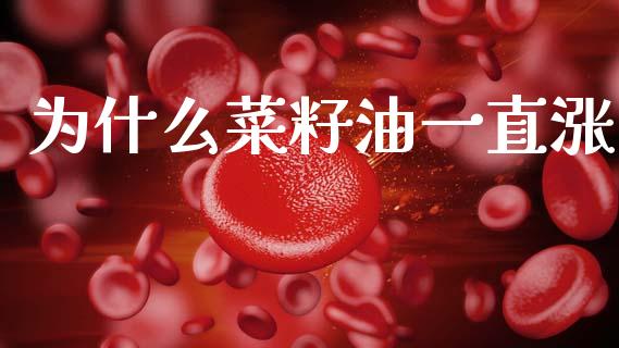 为什么菜籽油一直涨_https://cj006.lansai.wang_全球市场_第1张