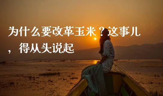 为什么要改革玉米？这事儿，得从头说起_https://cj006.lansai.wang_财经新闻_第1张