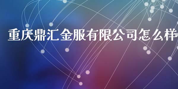 重庆鼎汇金服有限公司怎么样_https://cj006.lansai.wang_外汇交易_第1张