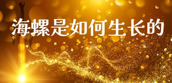 海螺是如何生长的_https://cj006.lansai.wang_财经新闻_第1张
