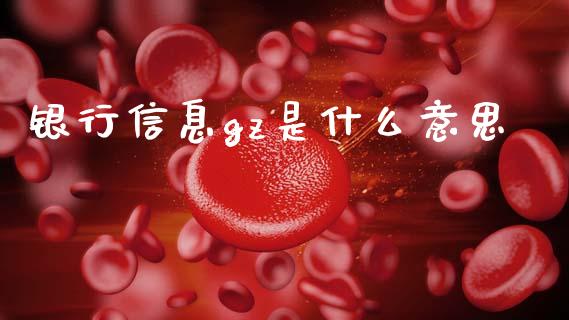银行信息gz是什么意思_https://cj006.lansai.wang_外汇交易_第1张