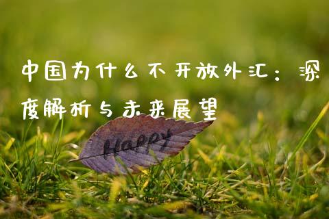 中国为什么不开放外汇：深度解析与未来展望_https://cj006.lansai.wang_期货开户_第1张