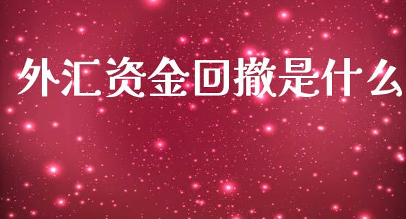外汇资金回撤是什么_https://cj006.lansai.wang_全球市场_第1张