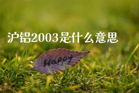 沪铝2003是什么意思_https://cj006.lansai.wang_全球市场_第1张