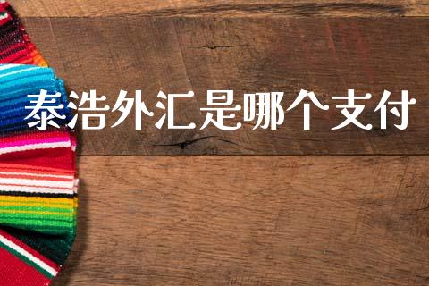 泰浩外汇是哪个支付_https://cj006.lansai.wang_期货开户_第1张