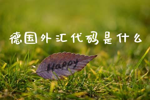 德国外汇代码是什么_https://cj006.lansai.wang_财经新闻_第1张