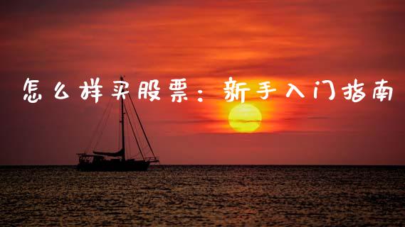 怎么样买股票：新手入门指南_https://cj006.lansai.wang_债券资讯_第1张