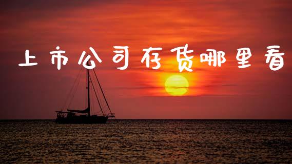 上市公司存货哪里看_https://cj006.lansai.wang_外汇交易_第1张