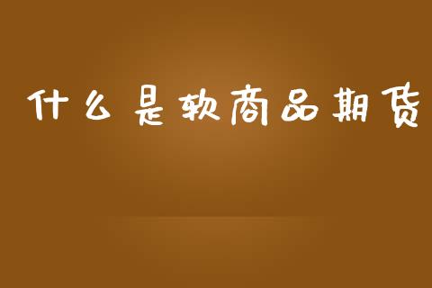 什么是软商品期货_https://cj006.lansai.wang_债券资讯_第1张