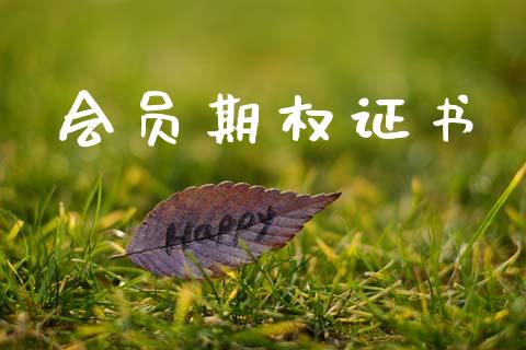 会员期权证书_https://cj006.lansai.wang_外汇交易_第1张