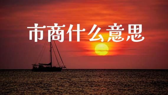 市商什么意思_https://cj006.lansai.wang_期货开户_第1张