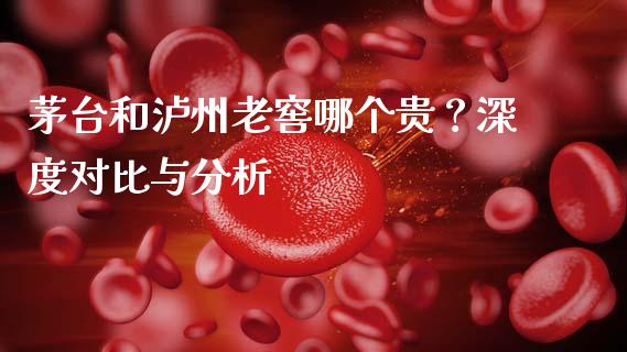茅台和泸州老窖哪个贵？深度对比与分析_https://cj006.lansai.wang_债券资讯_第1张