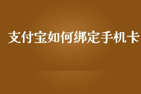 支付宝如何绑定手机卡_https://cj006.lansai.wang_金融监管_第1张