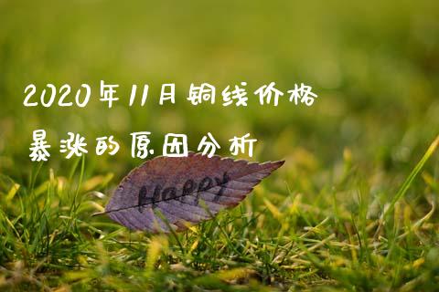 2020年11月铜线价格暴涨的原因分析_https://cj006.lansai.wang_全球市场_第1张