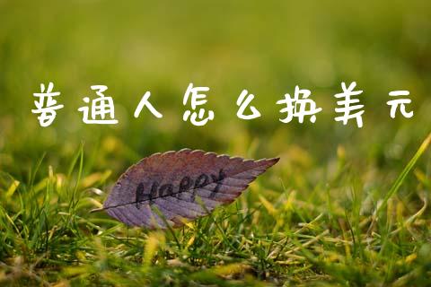 普通人怎么换美元_https://cj006.lansai.wang_全球市场_第1张