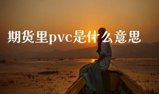 期货里pvc是什么意思_https://cj006.lansai.wang_债券资讯_第1张