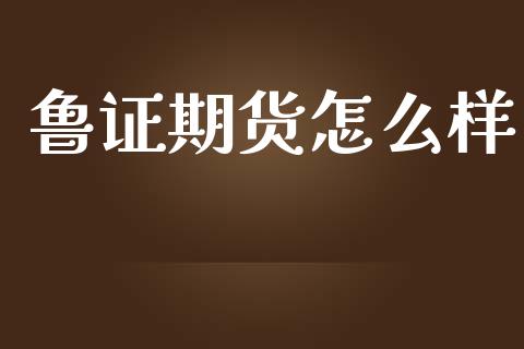 鲁证期货怎么样_https://cj006.lansai.wang_外汇交易_第1张