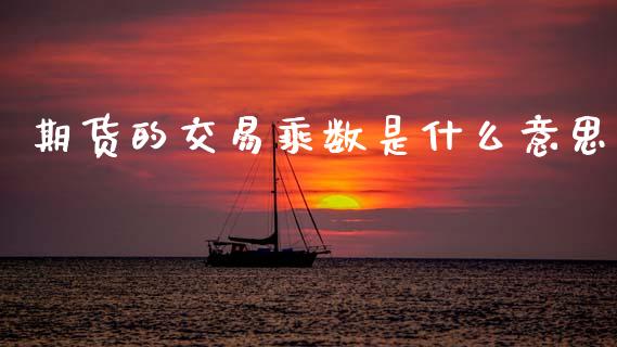 期货的交易乘数是什么意思_https://cj006.lansai.wang_债券资讯_第1张