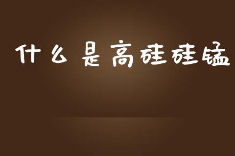 什么是高硅硅锰_https://cj006.lansai.wang_金融监管_第1张