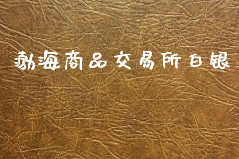 渤海商品交易所白银_https://cj006.lansai.wang_外汇交易_第1张