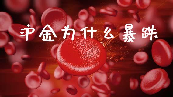 沪金为什么暴跌_https://cj006.lansai.wang_金融监管_第1张