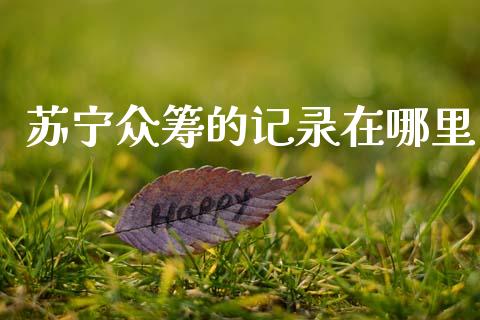苏宁众筹的记录在哪里_https://cj006.lansai.wang_财经新闻_第1张