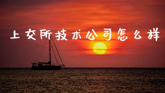 上交所技术公司怎么样_https://cj006.lansai.wang_金融监管_第1张