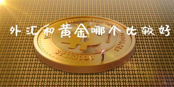 外汇和黄金哪个比较好_https://cj006.lansai.wang_金融监管_第1张