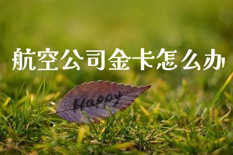航空公司金卡怎么办_https://cj006.lansai.wang_财经新闻_第1张