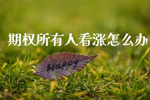 期权所有人看涨怎么办_https://cj006.lansai.wang_期货开户_第1张
