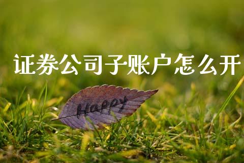 证券公司子账户怎么开_https://cj006.lansai.wang_外汇交易_第1张