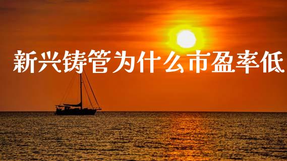 新兴铸管为什么市盈率低_https://cj006.lansai.wang_期货开户_第1张