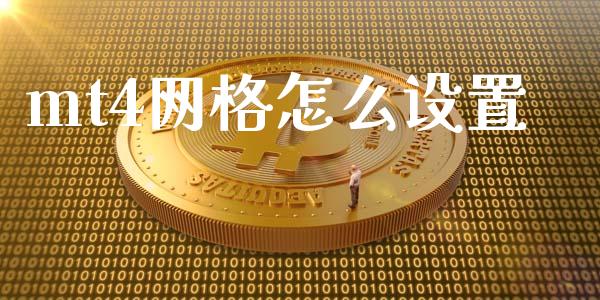 mt4网格怎么设置_https://cj006.lansai.wang_债券资讯_第1张
