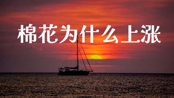 棉花为什么上涨_https://cj006.lansai.wang_期货开户_第1张