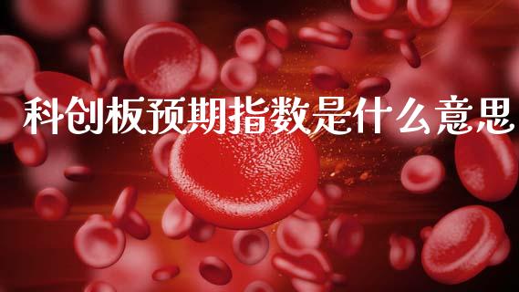 科创板预期指数是什么意思_https://cj006.lansai.wang_财经新闻_第1张