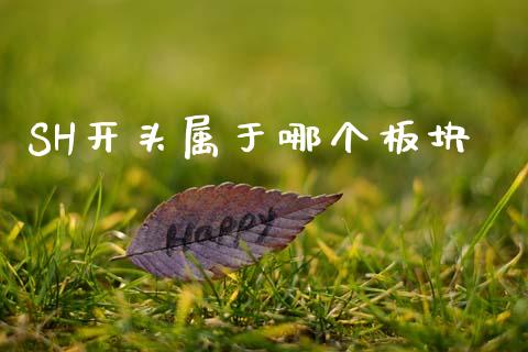 SH开头属于哪个板块_https://cj006.lansai.wang_债券资讯_第1张