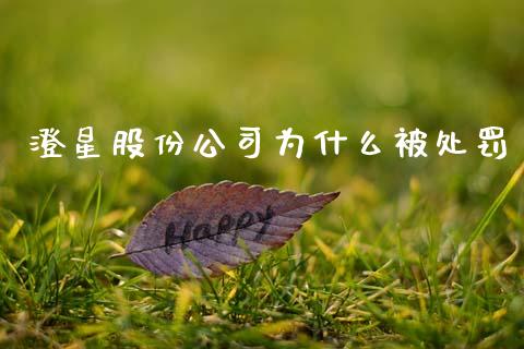 澄星股份公司为什么被处罚_https://cj006.lansai.wang_金融监管_第1张