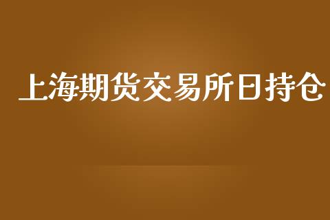 上海期货交易所日持仓_https://cj006.lansai.wang_外汇交易_第1张