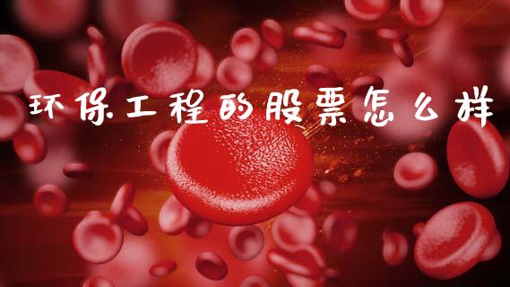 环保工程的股票怎么样_https://cj006.lansai.wang_金融监管_第1张