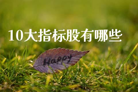 10大指标股有哪些_https://cj006.lansai.wang_金融监管_第1张