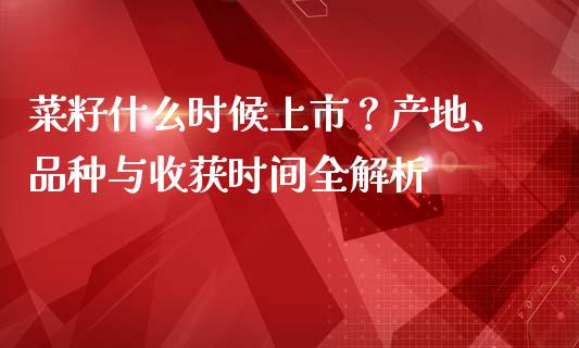 菜籽什么时候上市？产地、品种与收获时间全解析_https://cj006.lansai.wang_全球市场_第1张
