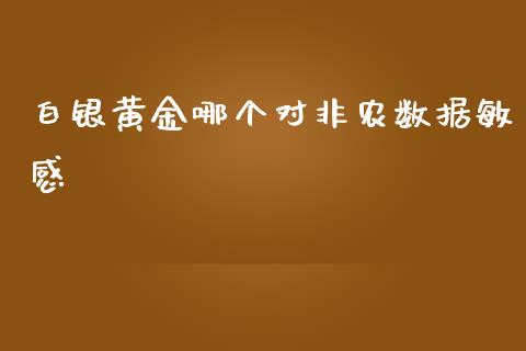 白银黄金哪个对非农数据敏感_https://cj006.lansai.wang_债券资讯_第1张