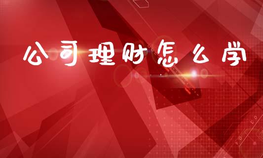 公司理财怎么学_全球市场_第1张_期货开户_金融监管_外汇交易_债券资讯_全球市场_财经新闻 公司理财怎么学_https://cj006.lansai.wang_全球市场_第1张