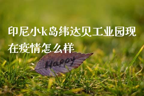 印尼小k岛纬达贝工业园现在疫情怎么样_https://cj006.lansai.wang_债券资讯_第1张