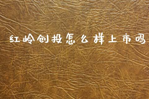 红岭创投怎么样上市吗_https://cj006.lansai.wang_财经新闻_第1张